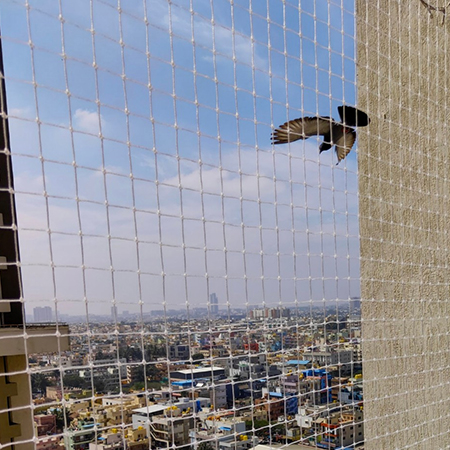 Bird Protection Nets