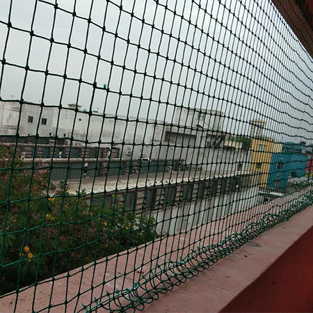 Pigeon Nets Installation