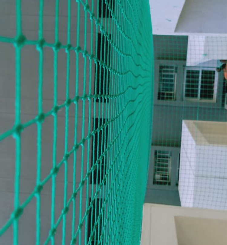 Pigeon Nets